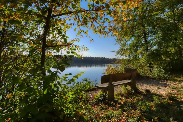 让快船队员 让快船队员