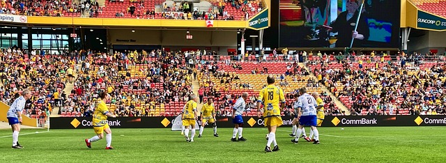 技战术要求 技战术要求