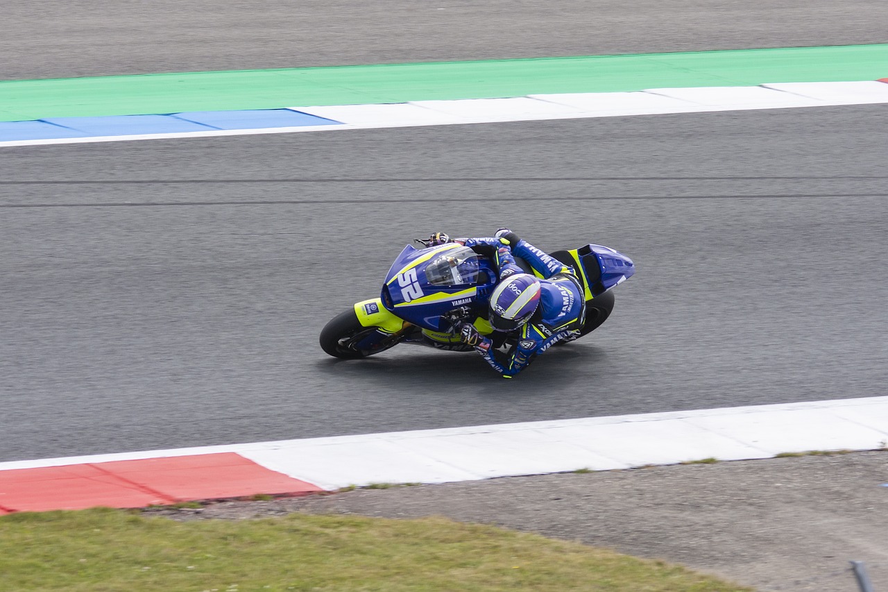 花的比赛 花的比赛